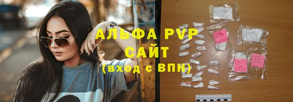 стаф Бородино