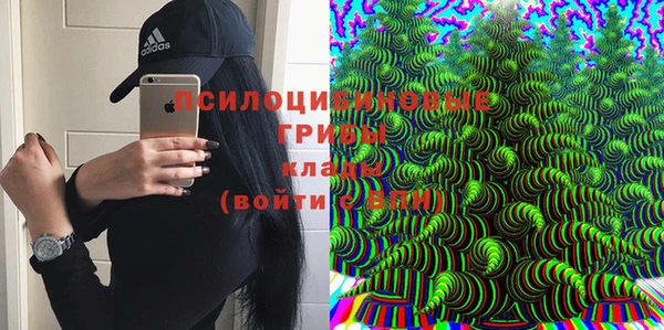 стаф Бородино