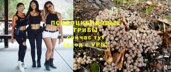 марки nbome Богданович