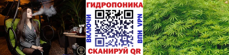 МАРИХУАНА ГИДРОПОН  купить   Мончегорск 